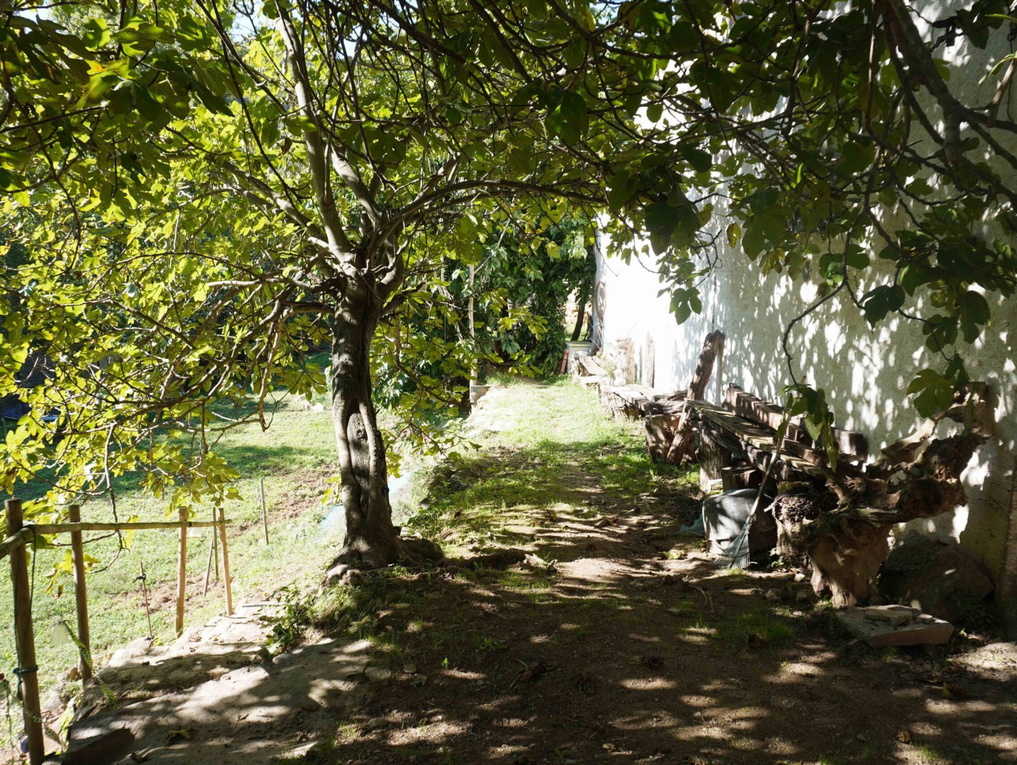 DSC01082